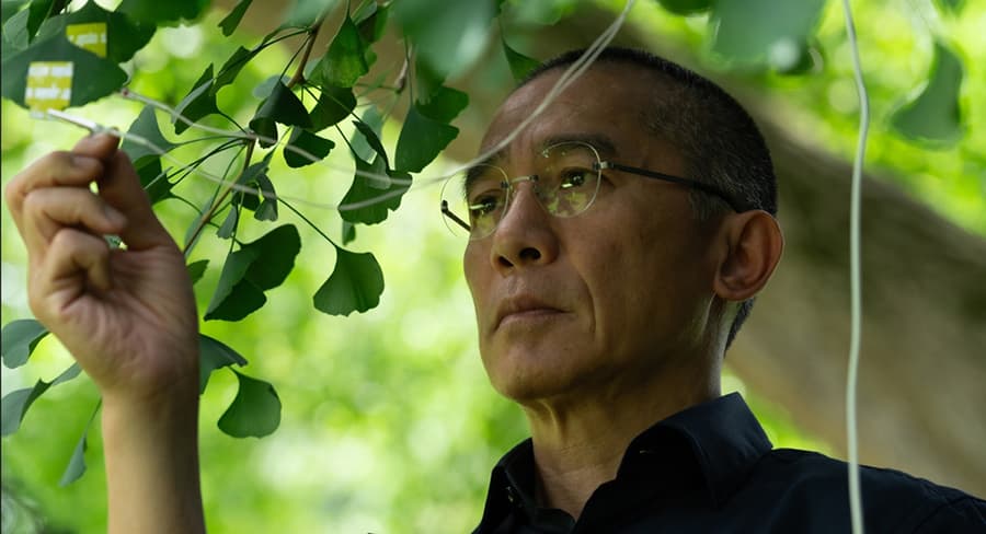 梁朝偉出演匈牙利名導伊爾蒂蔻恩伊達（Ildikó Enyedi），最新作品《你是不會當樹嗎（Silent Friend）》